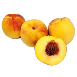 PESCHE GIALLE G.500