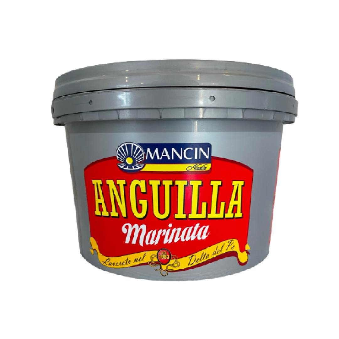 ANGUILLA MARINATA KG.2