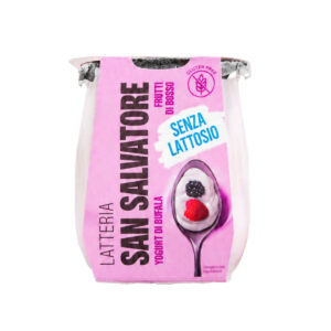 YOGURT DI BUFALA SENZA LATTOSIO FRUTTI DI BOSCO G.110