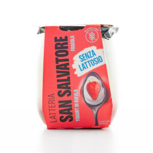 YOGURT DI BUFALA SENZA LATTOSIO FRAGOLA G.110