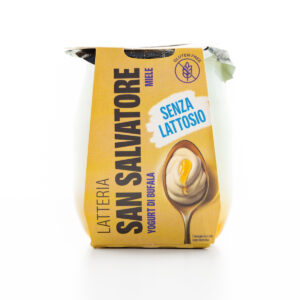 YOGURT DI BUFALA SENZA LATTOSIO MIELE G.110