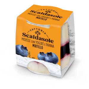 MOUSSE YOGURT E MIRTILLO BIOLOGICO G.75