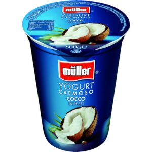 YOGURT COCCO G.500