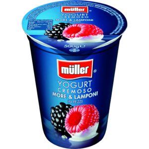 YOGURT MORE E LAMPONI G.500