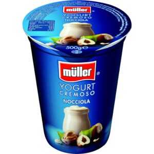 YOGURT NOCCIOLA G.500