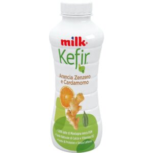 KEFIR DA BERE ARANCIA ZENZERO E CARDAMOMO G.480