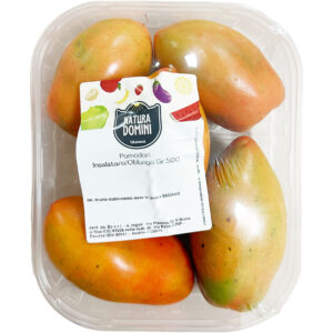 POMODORO OBLUNGO G.500