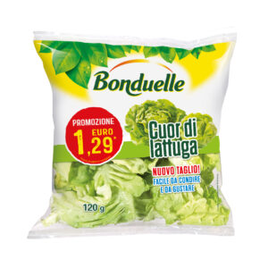 CUOR DI LATTUGA G.120