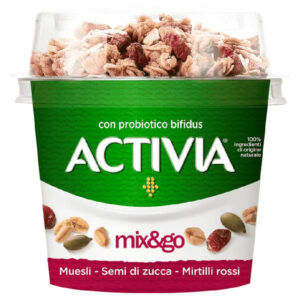 ACTIVIA MIX&GO SEMI E MIRTILLI E MUESLI G.170