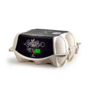 UOVA FRESCHE BIOLOGICHE M/LX6 POLPA CARTA