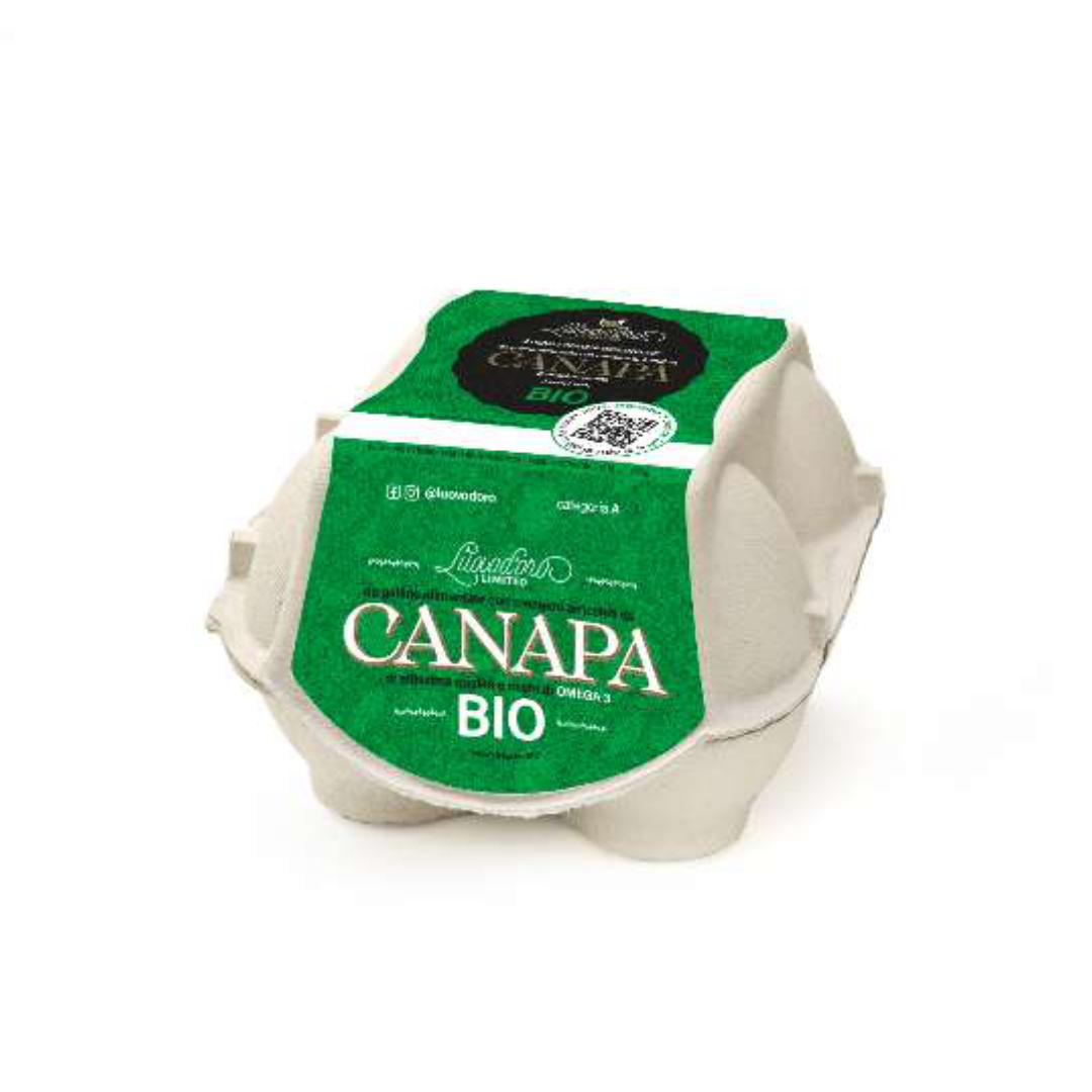 UOVA FRESCHE BIOLOGICHE CANAPA M/LX4 POLPA CARTA