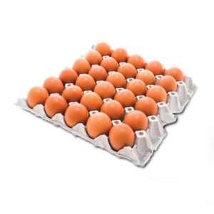 UOVA FRESCHE BIOLOGICHE M/LX30 POLPA CARTA