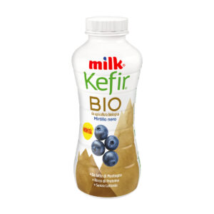 KEFIR BIO DA BERE MIRTILLO G.480